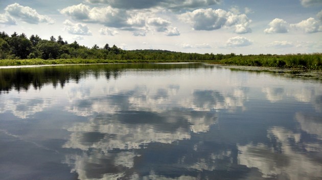 Water Panorama