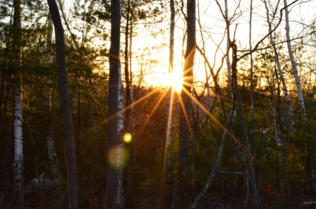 1700695b9167338d7c0fda5b27436af7