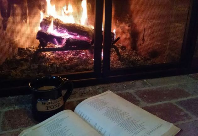 12523152_10153320731871517_2866195003462785150_n