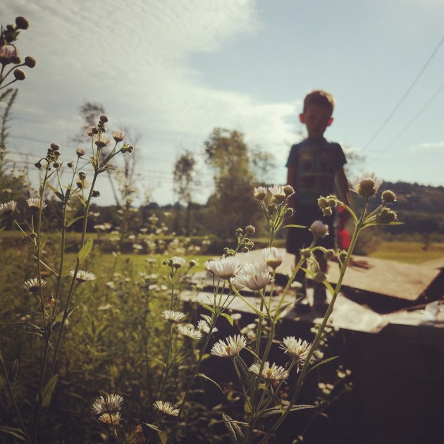 IMG_20170717_145445_984