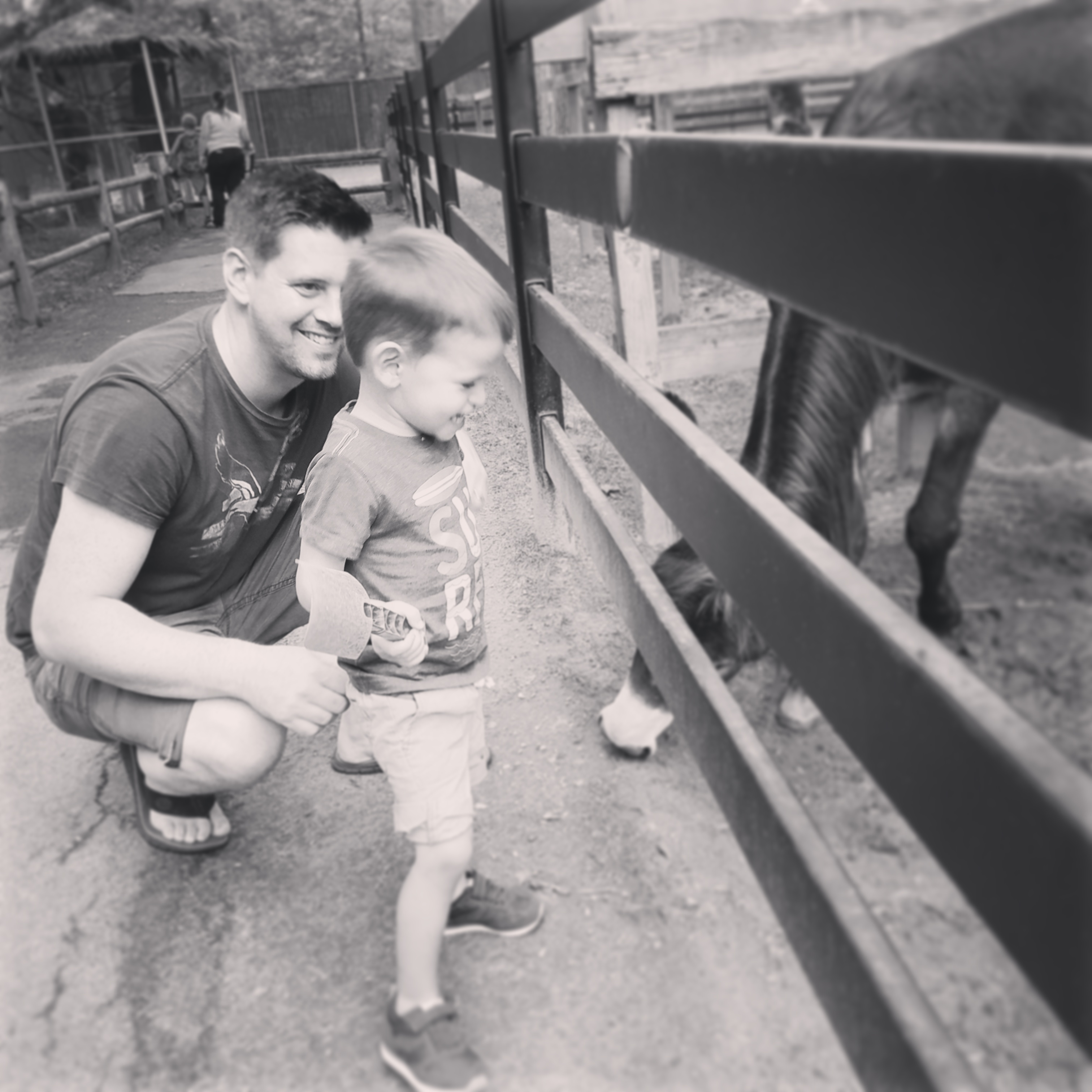 IMG_20170814_061844_794