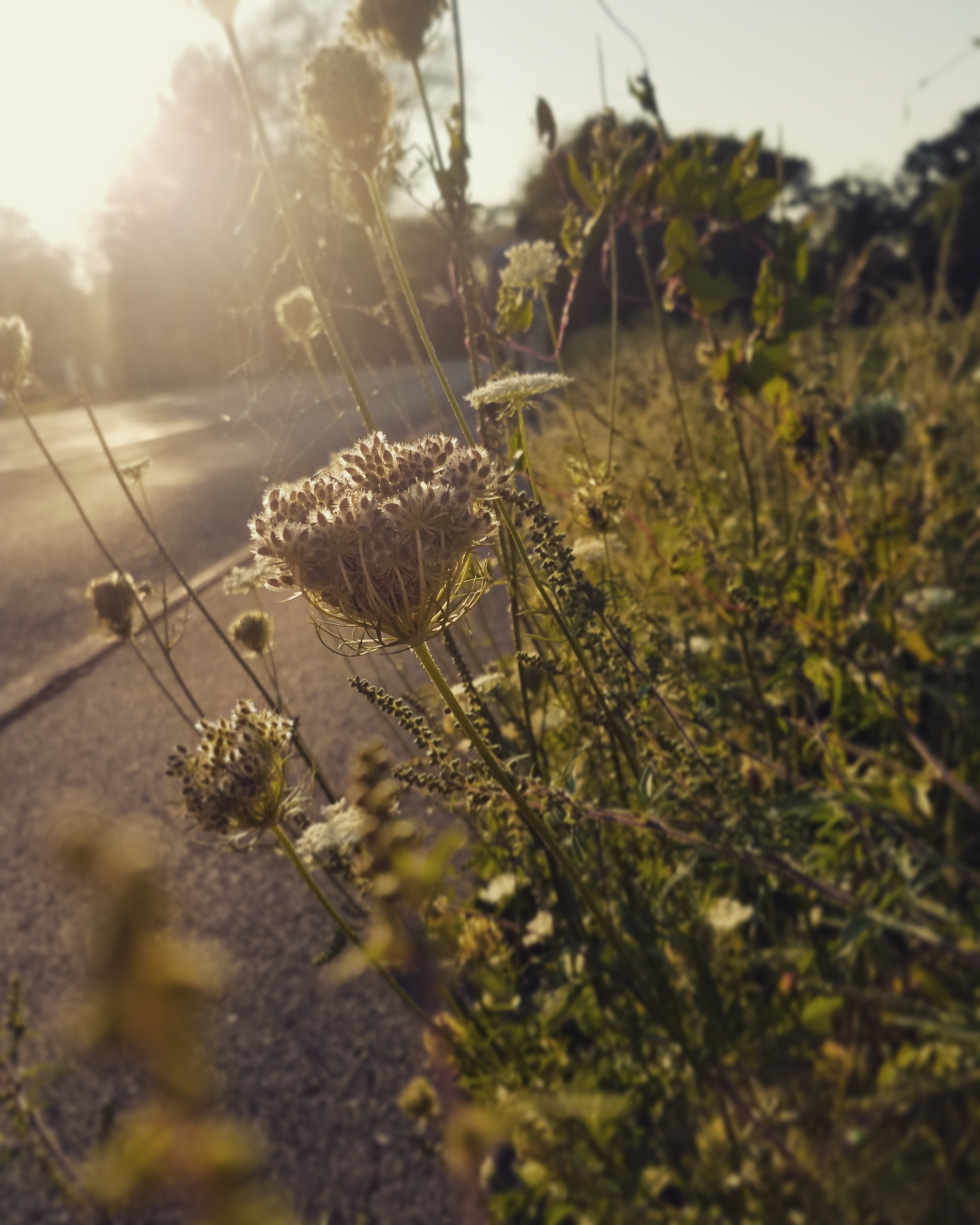 IMG_20170822_104305_617